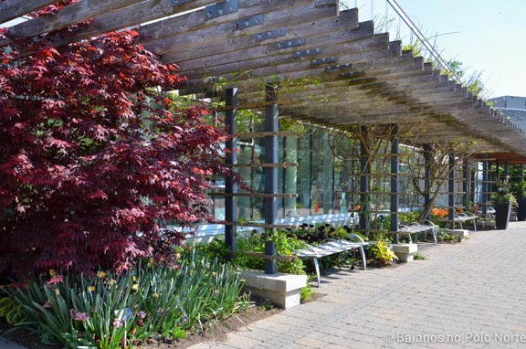 toronto-botanical-edwards-garden-10