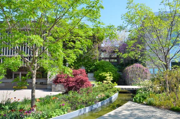 toronto-botanical-edwards-garden-13