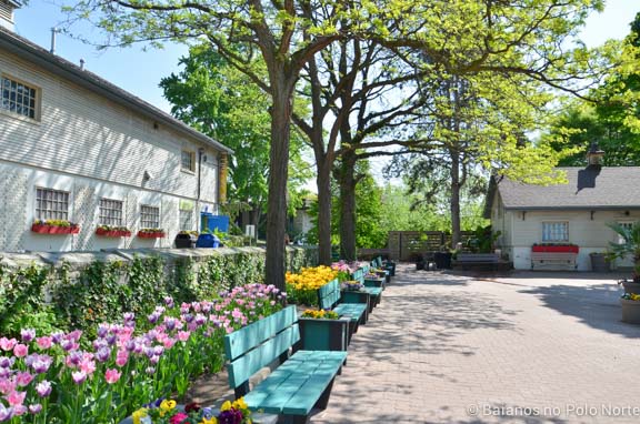 toronto-botanical-edwards-garden-15