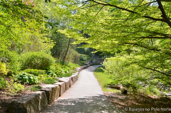 toronto-botanical-edwards-garden-19