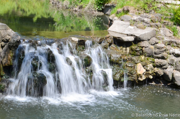 toronto-botanical-edwards-garden-21