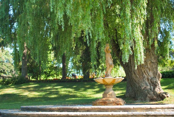 toronto-botanical-edwards-garden-27