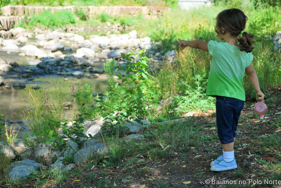 toronto-botanical-edwards-garden-28