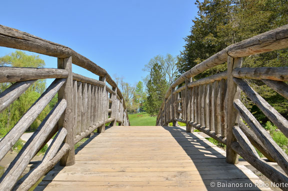 toronto-botanical-edwards-garden-3