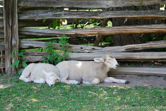 black-creek-pioneer-village-13
