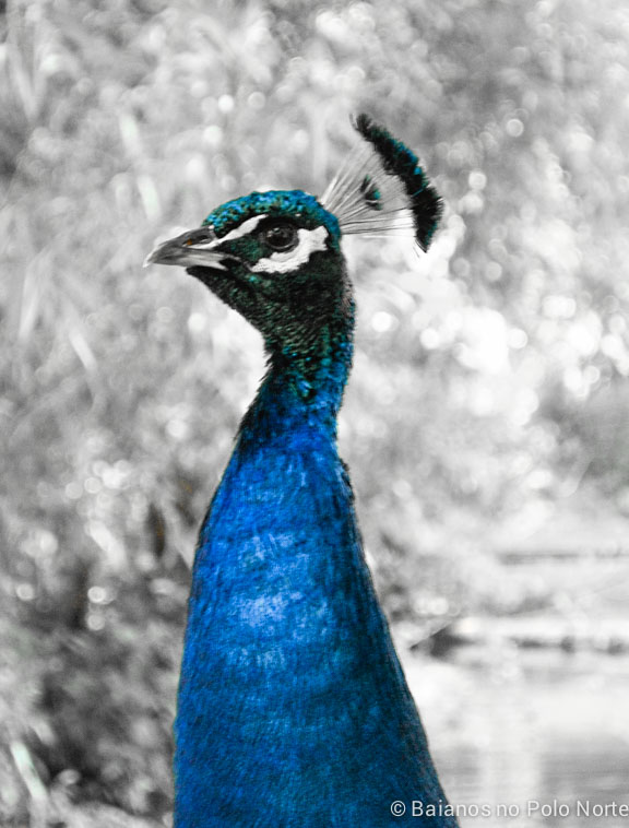 bronte-creek-fazenda-parque-5