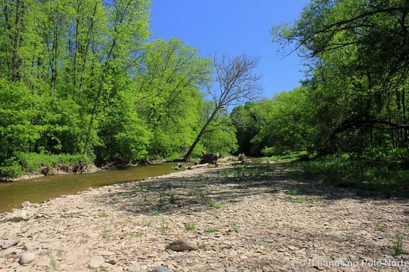 bronte-creek-fazenda-parque-6
