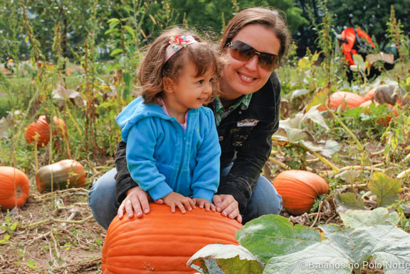 frutas-fazenda-toronto-12