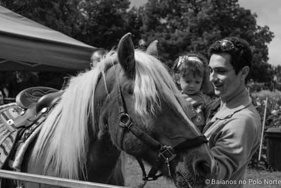 frutas-fazenda-toronto-13