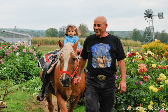 frutas-fazenda-toronto-14