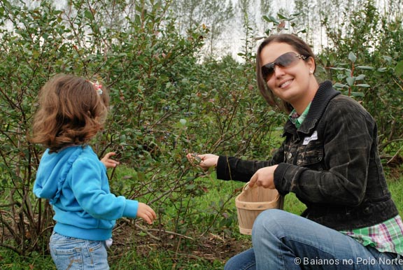 frutas-fazenda-toronto-8