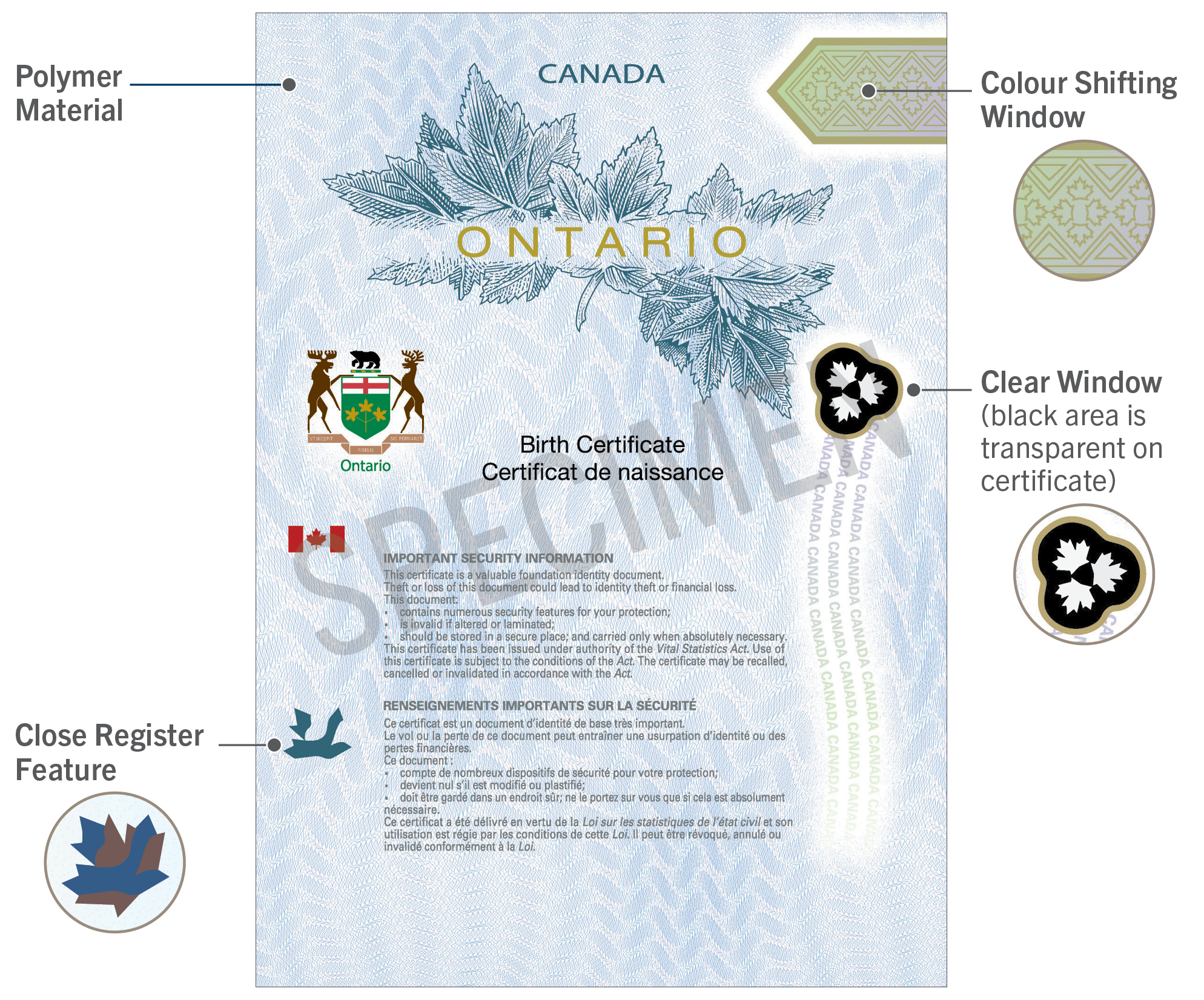 certidao-nascimento-3