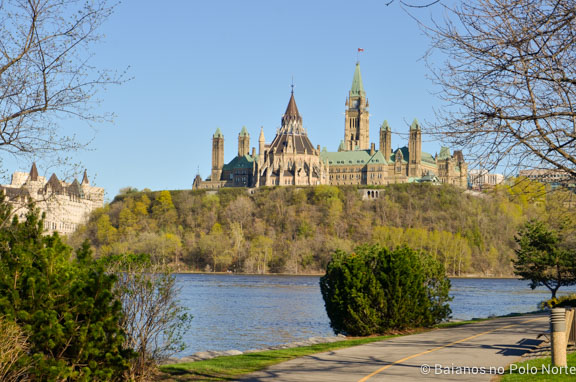 festival-tulipas-ottawa-1