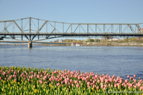 festival-tulipas-ottawa-5