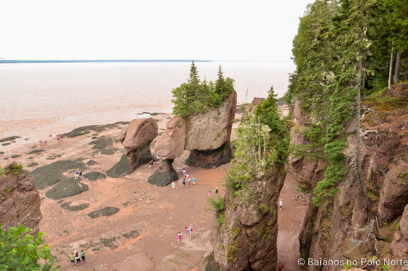 hopewell-rocks-10