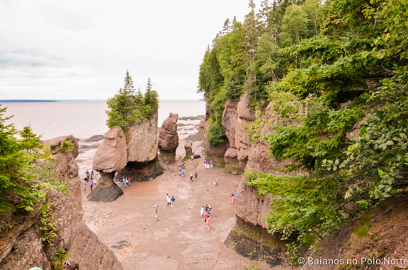 hopewell-rocks-27