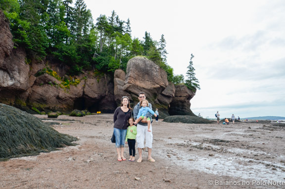 hopewell-rocks-4