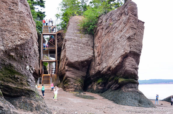 hopewell-rocks-8