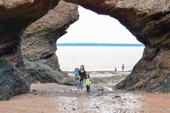hopewell-rocks-9
