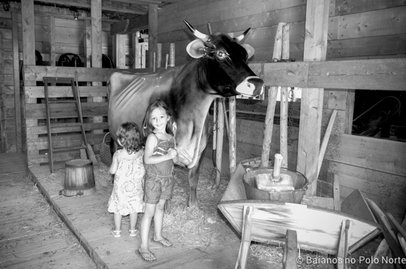 prince-edward-island-14