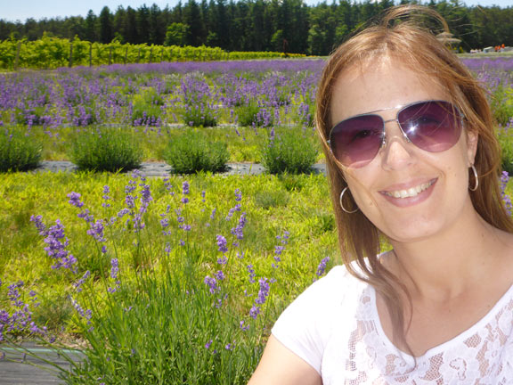 Fazenda de lavanda Bonnieheath
