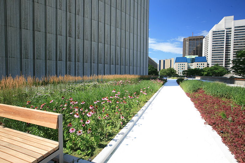 800px-Toronto_City_Hall_Podium_green_roof_by_LiveRoof,_July_2010