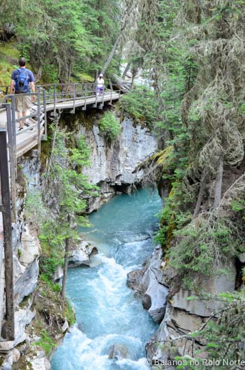 johnston-canyon-1