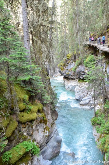 johnston-canyon-3