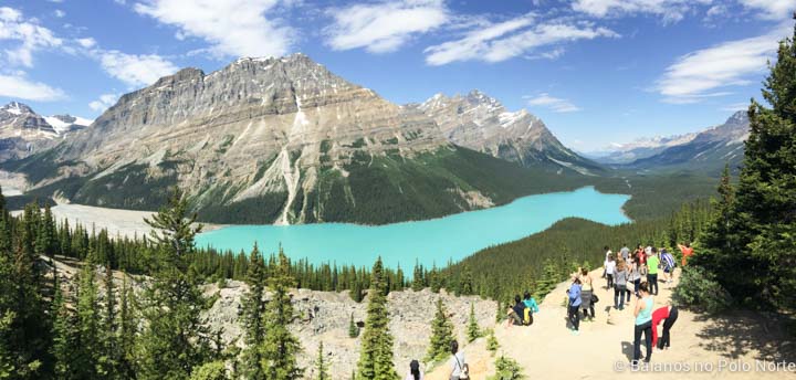 peyto-lake-5