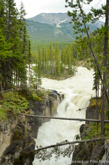 sunwapta-falls-1
