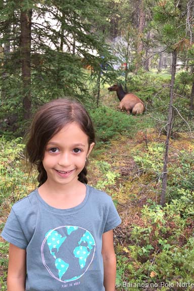 viagem-de-motorhome-10