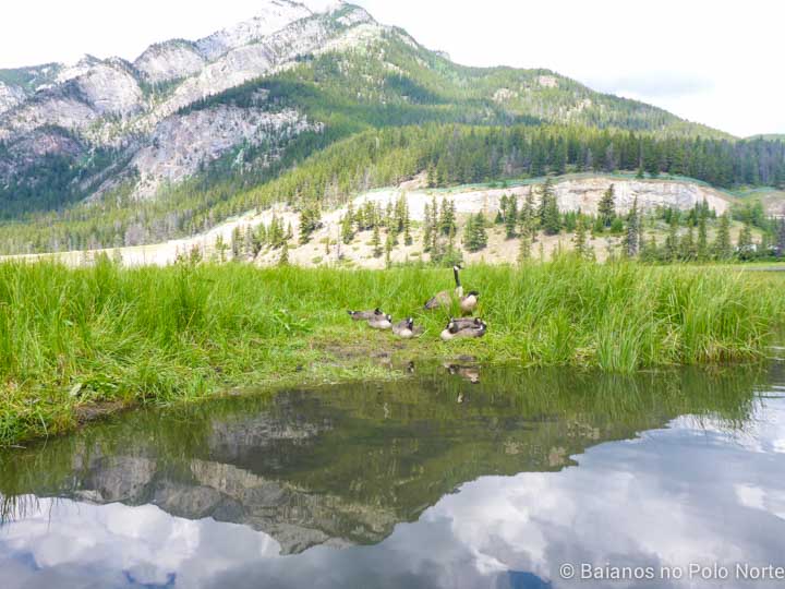 canoagem-banff-8