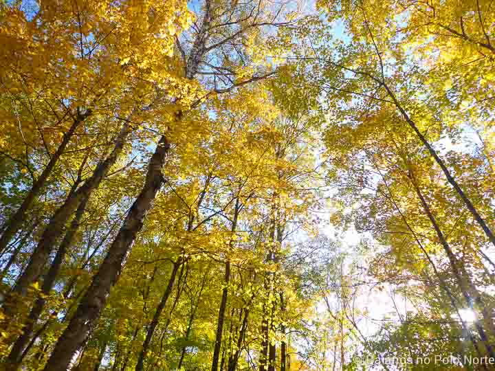 arrowhead-provincial-park-10