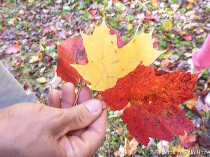 arrowhead-provincial-park-11