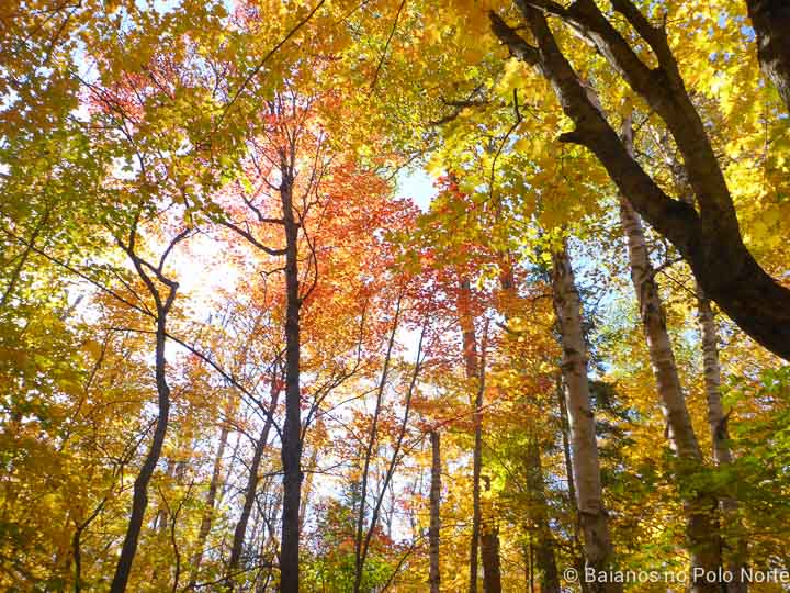 arrowhead-provincial-park-12