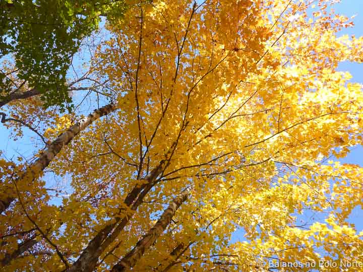 arrowhead-provincial-park-13