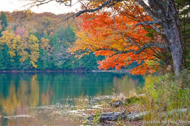 arrowhead-provincial-park-14