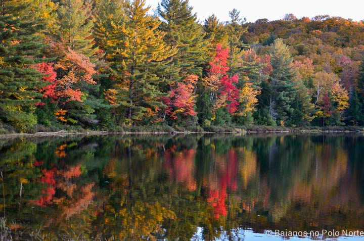 arrowhead-provincial-park-16