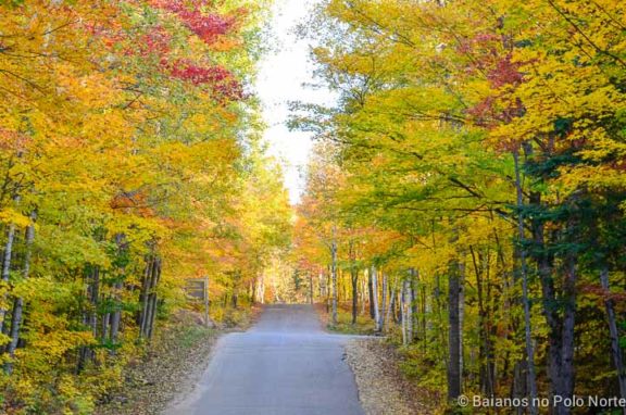 Bate-volta Arrowhead