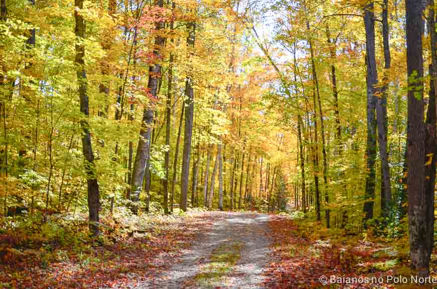 arrowhead-provincial-park-21