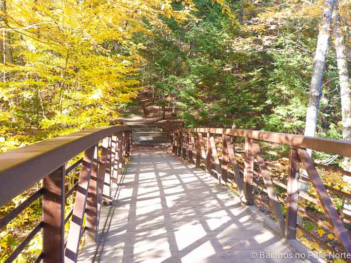 arrowhead-provincial-park-4