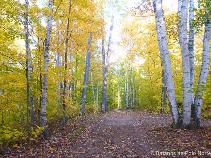 arrowhead-provincial-park-7