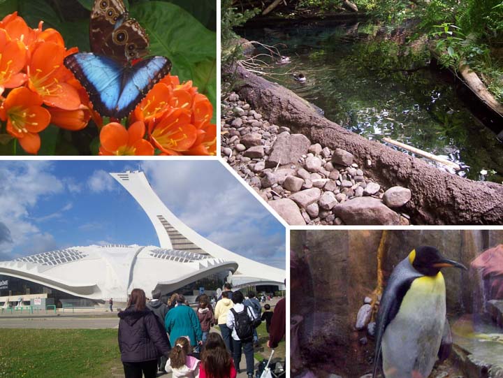 melhores-canada-montreal-2