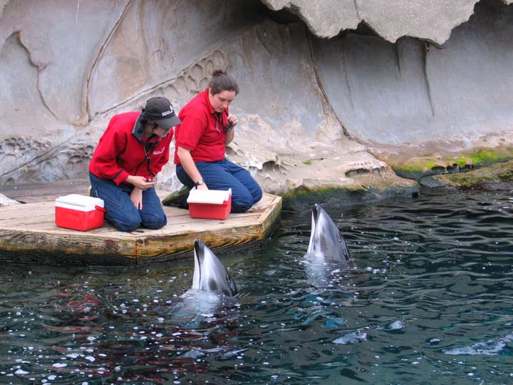 melhores-canada-vancouver-1