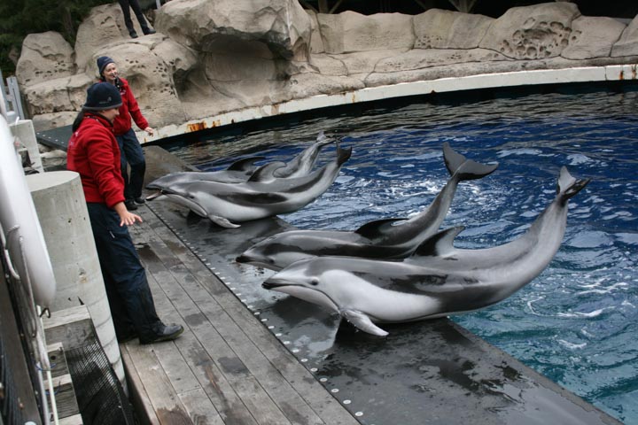 melhores-canada-vancouver-2