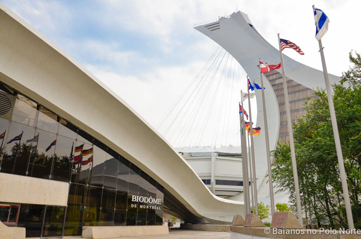Montreal-biodome-13