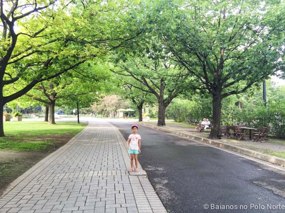 Montreal-jardim-botanico-1