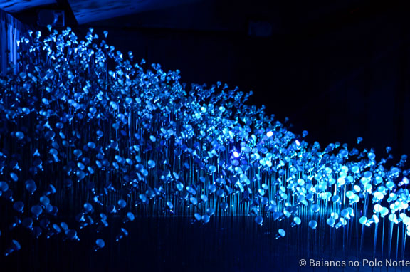 Montreal-jardim-botanico-15