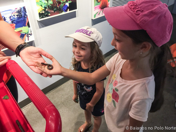 Montreal-jardim-botanico-5