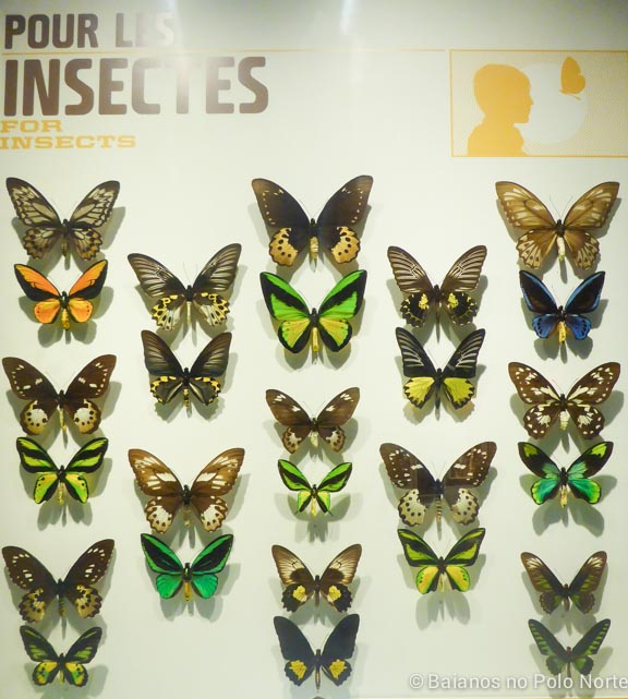 Montreal-jardim-botanico-8